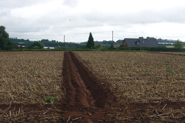 Ploughing Match Photo 2018