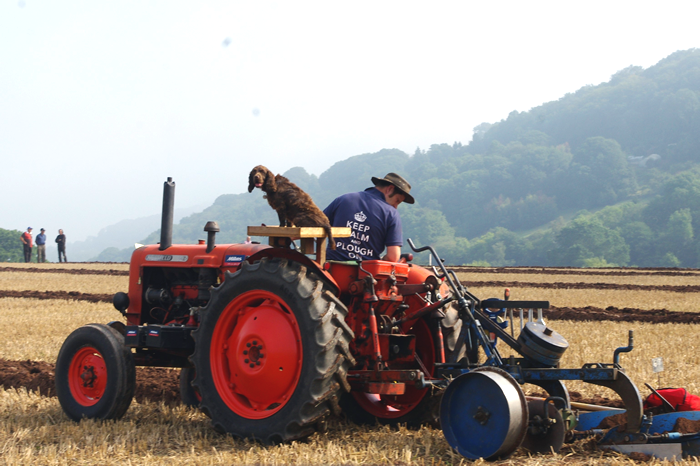 Ploughing Match Photo 2018